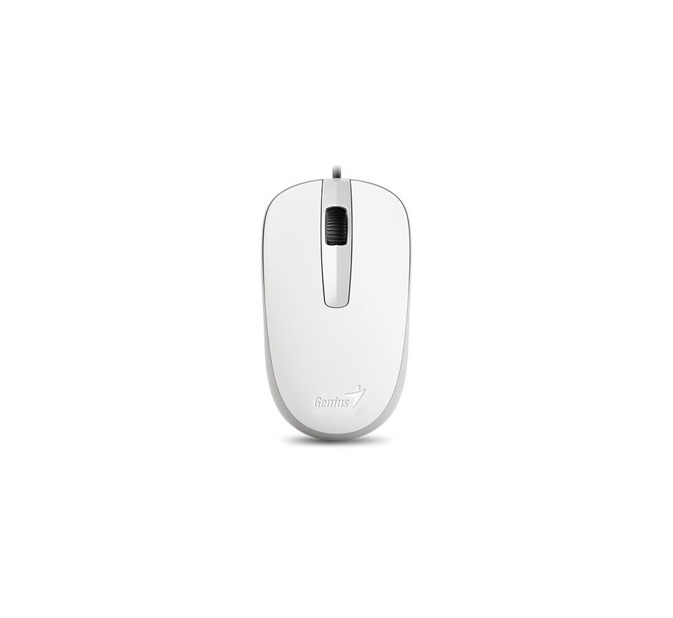 цена Мышь Genius Mouse DX-120 (31010010401) White