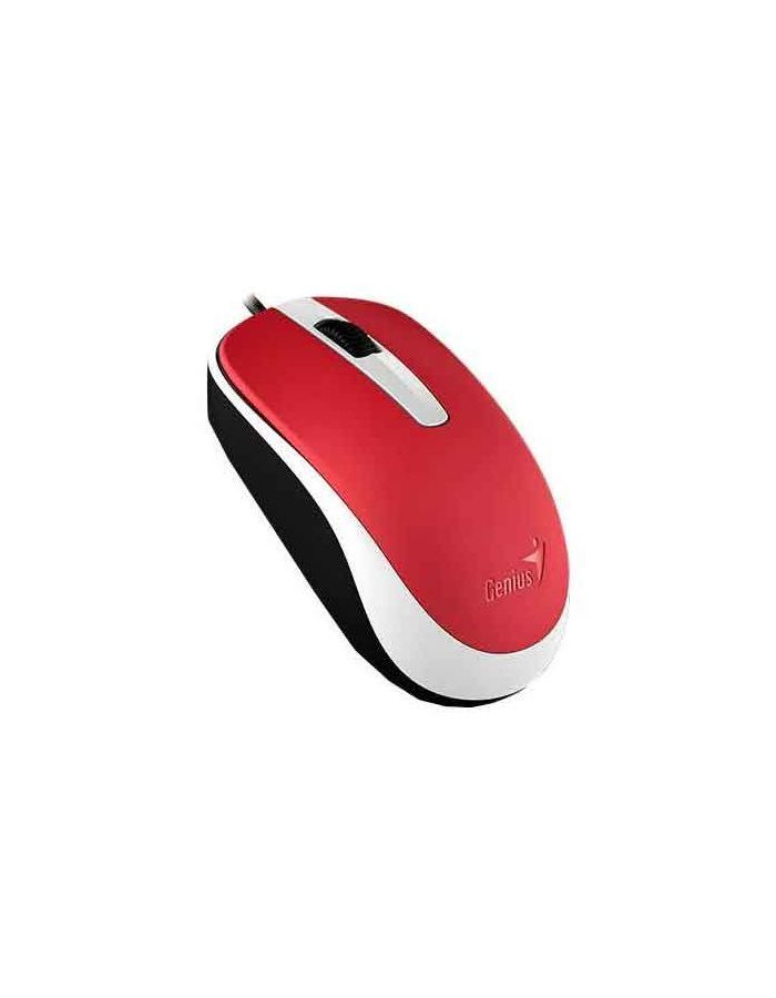 Мышь Genius DX-120 красная (31010010403) цена и фото