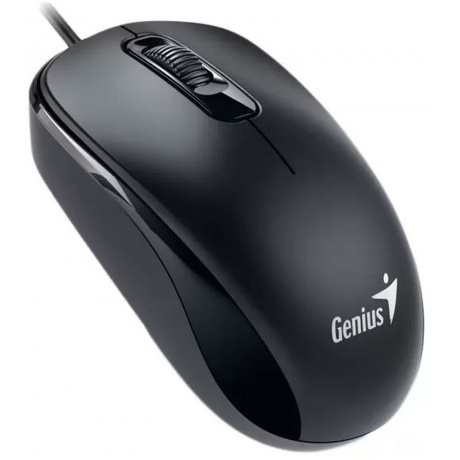 Мышь Genius DX-110 black USB (31010009400) - фото 2