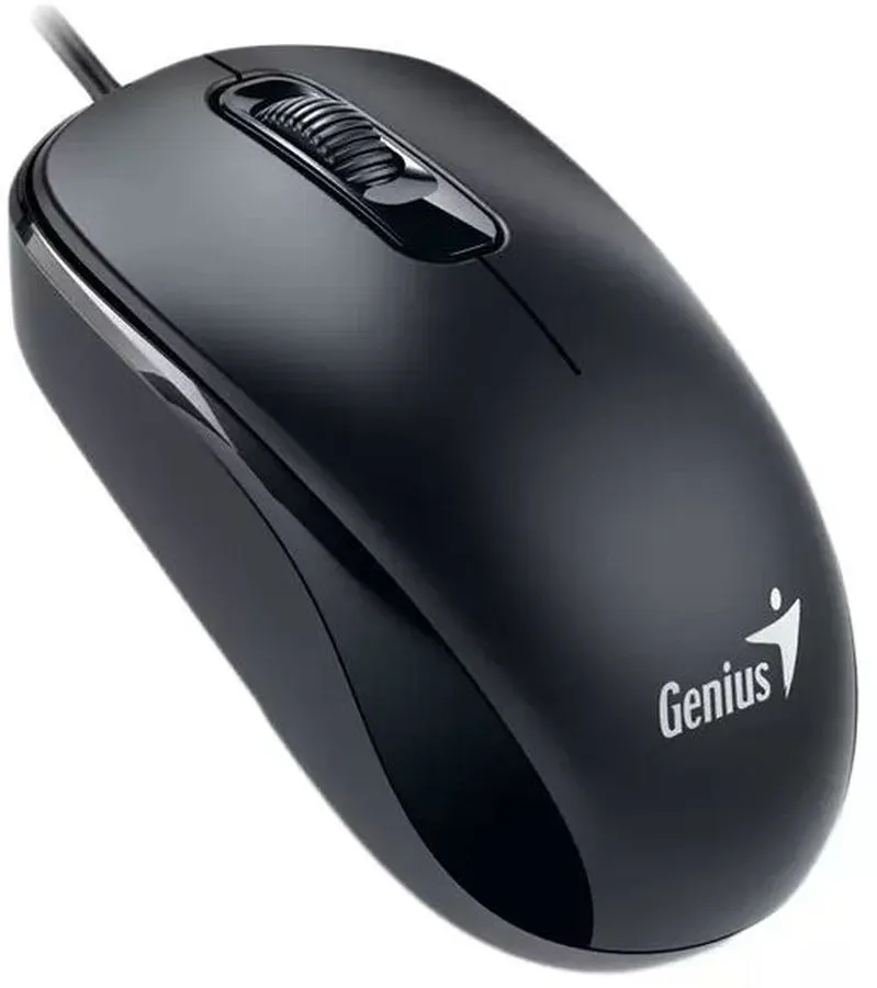Мышь Genius DX-110 black USB (31010009400) - фото 2