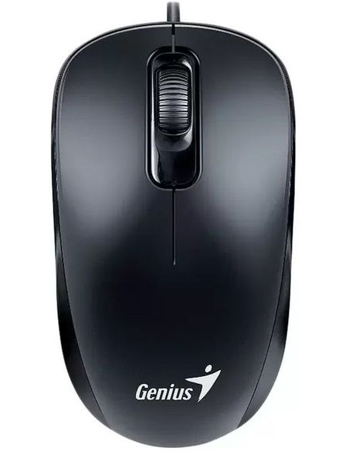 Мышь Genius DX-110 black USB (31010009400) цена и фото