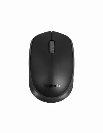 Мышь беспроводная Logitech M171 Black (910-004643)