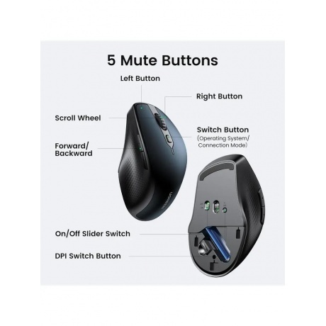 Мышь Ugreen MU101 Blue 15807 - фото 3