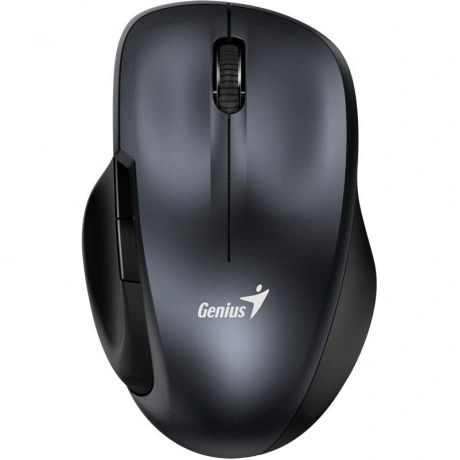 Мышь Genius Ergo 8200S Iron Grey (31030029401)