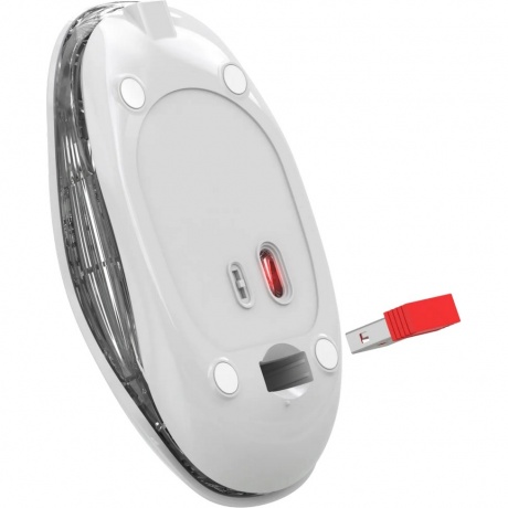 Мышь Defender Calessa MB-252 white (52252) - фото 4