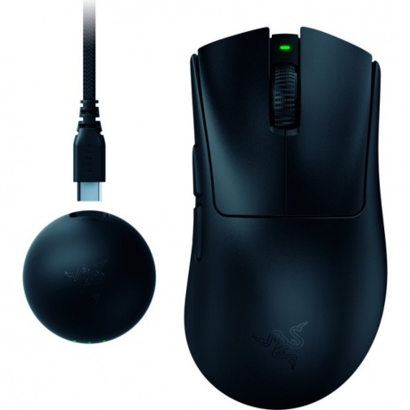 Мышь Razer DeathAdder V4 Pro черный (RZ01-05330100-R3G1) - фото 1