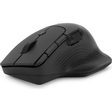 Мышь Оклик 501MW черный (1877553) - фото 2