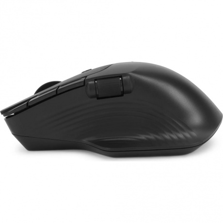 Мышь Оклик 501MW черный (1877553) - фото 6