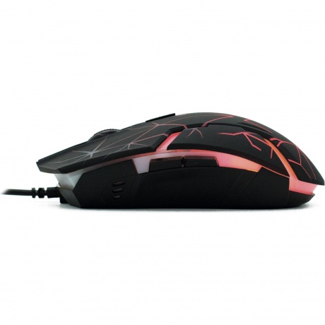 Мышь Оклик 701G черный (1884623) - фото 6