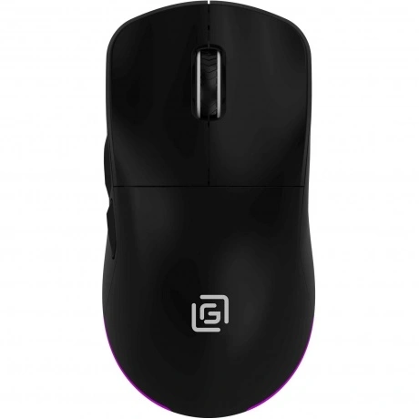 Мышь Оклик 900GMW черный (1796786)