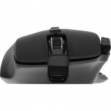 Мышь беспроводная Defender Thunder GM-213 black (52213) - фото 12