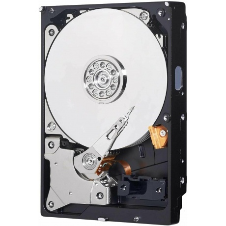Жесткий диск HDD WD 2TB WD20EARZ Blue SATA 3 - фото 3
