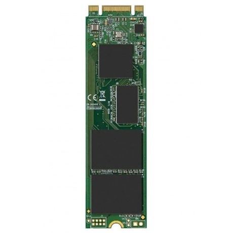 Накопитель SSDTranscend 256GB M.2 2280 (TS256GMTS800S) - фото 1