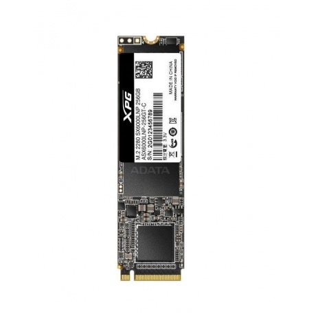 Накопитель SSD A-Data XPG SX6000 Lite 256Gb (ASX6000LNP-256GT-C) - фото 2