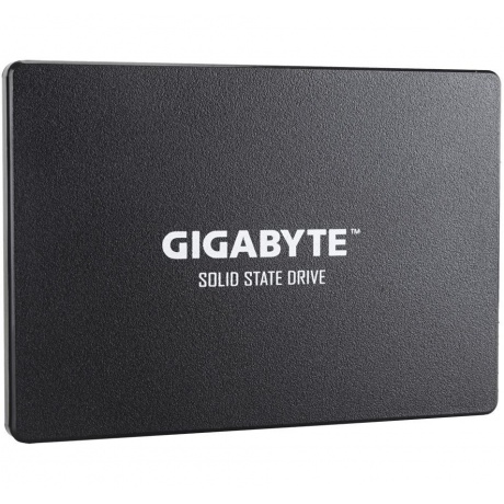 Накопитель SSD GigaByte 256Gb (GP-GSTFS31256GTND) - фото 1