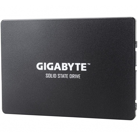 Накопитель SSD GigaByte 256Gb (GP-GSTFS31256GTND) - фото 3