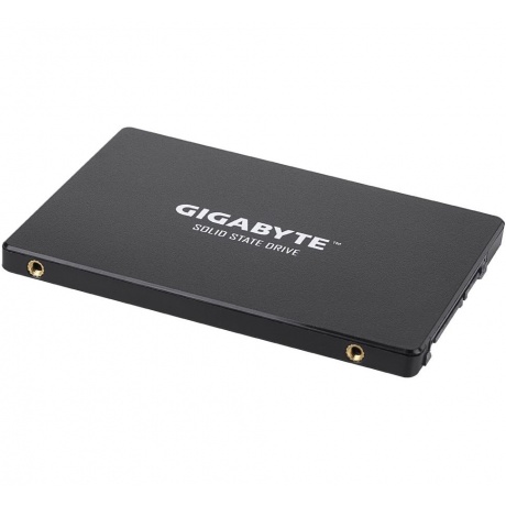 Накопитель SSD GigaByte 256Gb (GP-GSTFS31256GTND) - фото 4