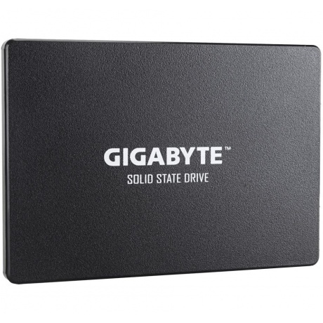 Накопитель SSD GigaByte 256Gb (GP-GSTFS31256GTND)