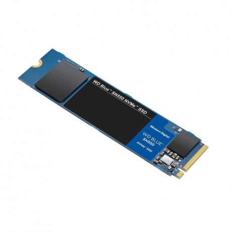 Накопитель SSD WD Blue 500Gb (WDS500G2B0C)