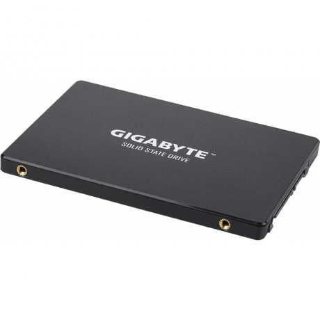 Накопитель SSD Gigabyte 1Tb (GP-GSTFS31100TNTD) - фото 2