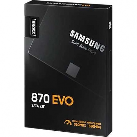 Накопитель SSD Samsung 870 EVO 250Gb (MZ-77E250BW) - фото 21