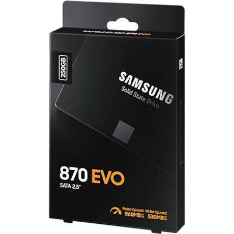 Накопитель SSD Samsung 870 EVO 250Gb (MZ-77E250BW) - фото 24