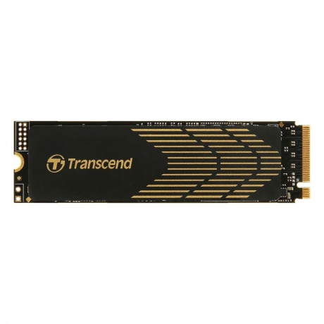 Накопитель SSD Transcend 1Tb (TS1TMTE240S) - фото 1