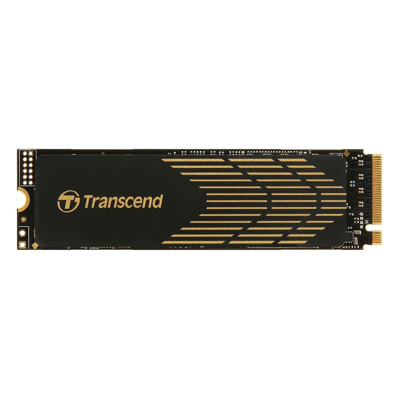 цена Накопитель SSD Transcend 1Tb (TS1TMTE240S)