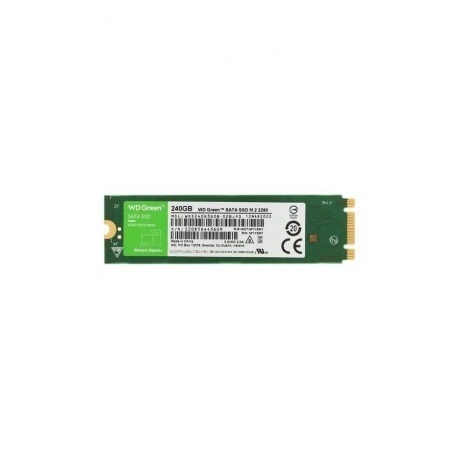 Накопитель SSD WD SATA2.5" 240GB SLC GREEN (WDS240G3G0B) - фото 1