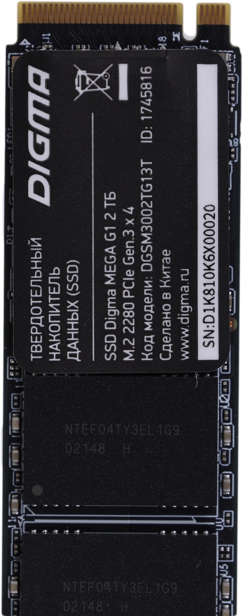 Накопитель SSD Digma 2Tb (DGSM3002TG13T) – купить в Санкт-Петербурге |  интернет-магазин KotoFoto.ru