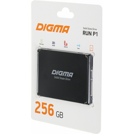 Накопитель SSD Digma 256Gb (DGSR2256GP13T) - фото 3