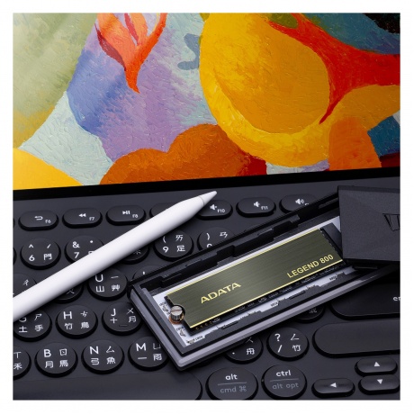 Накопитель SSD  M.2 2280 2TB (ALEG-800-2000GCS) - фото 9