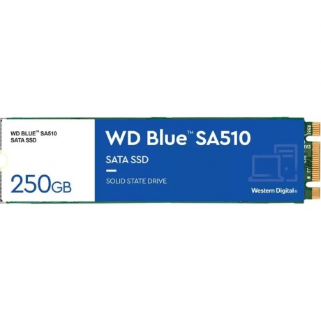 Накопитель SSD WD Blue M.2 SN570 250Gb PCIe Gen3 x4 NVMe TLC (WDS250G3B0B) - фото 1