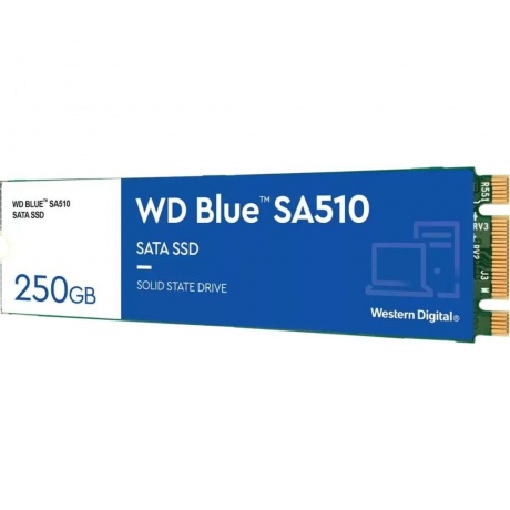 Накопитель SSD WD Blue M.2 SN570 250Gb PCIe Gen3 x4 NVMe TLC (WDS250G3B0B) - фото 2