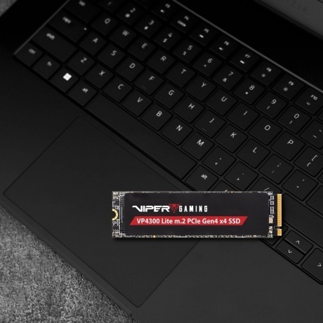 Накопитель SSD Patriot 500GB Viper VP4300 Lite M.2 (VP4300L500GM28H) - фото 6