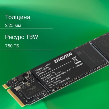 Накопитель SSD Digma 1Tb Mega (DGSM3001TM23T) - фото 9