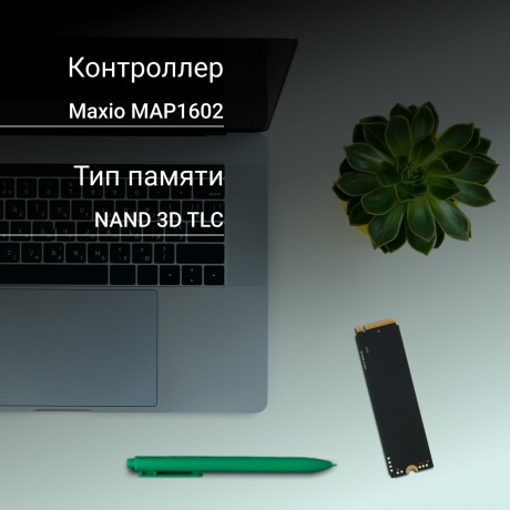 Накопитель SSD Digma 1Tb Meta M6 (DGSM4001TM63T) - фото 6