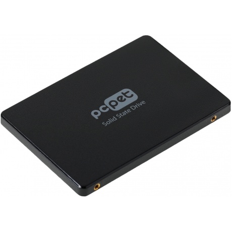 Накопитель SSD PC Pet SATA-III 256GB (PCPS256G2T) OEM - фото 2
