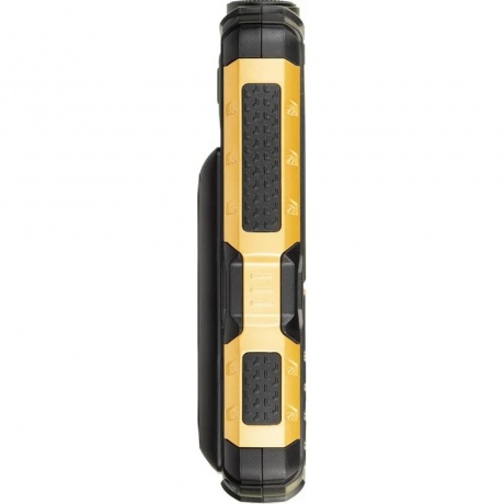Мобильный телефон BQ 2430 Tank Power Black Gold - фото 5