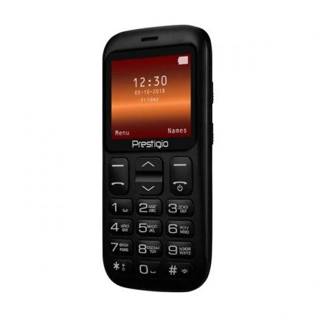 Мобильный телефон Prestigio PFP1220 WIZE L1 Black - фото 4