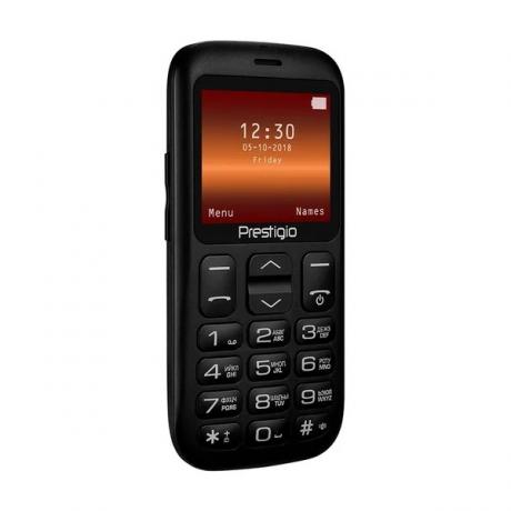 Мобильный телефон Prestigio PFP1220 WIZE L1 Black - фото 5