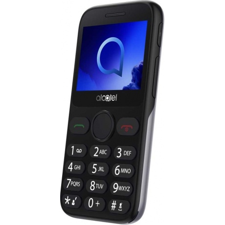 Мобильный телефон Alcatel 2019G Black/Metallic Silver - фото 1