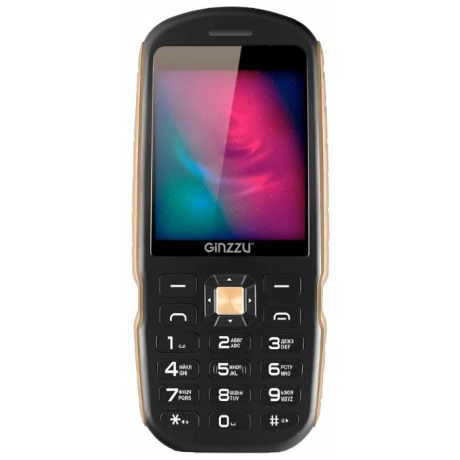 Мобильный телефон Ginzzu R1D Black - фото 3