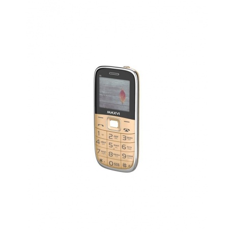Мобильный телефон Maxvi B6 Gold - фото 2