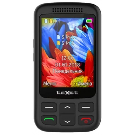 Мобильный телефон teXet TM-501 Black - фото 2