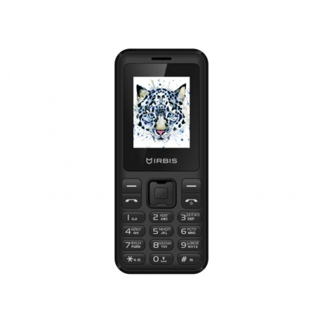 Мобильный телефон Irbis SF50B Black - фото 2