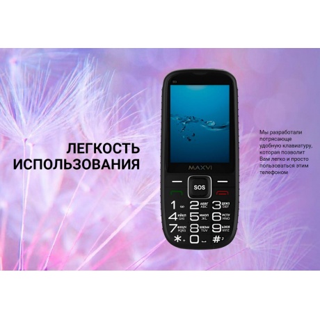 Мобильный телефон MAXVI B9 RED - фото 21