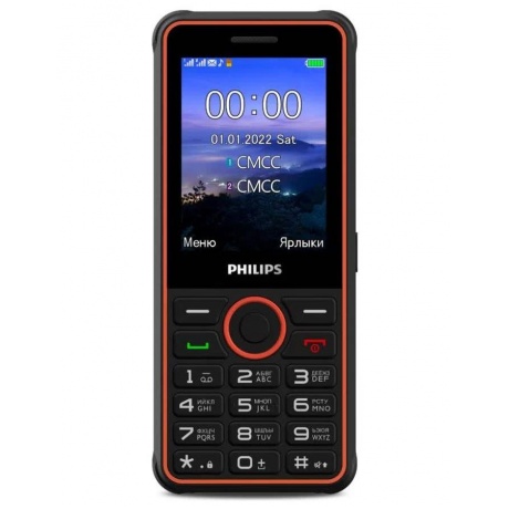 Мобильный телефон Philips Xenium E2301 тёмно-серый (E2301 D.Gray) - фото 1