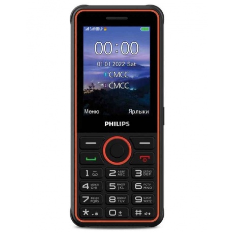 Мобильный телефон Philips Xenium E2301 Dark Grey - фото 1