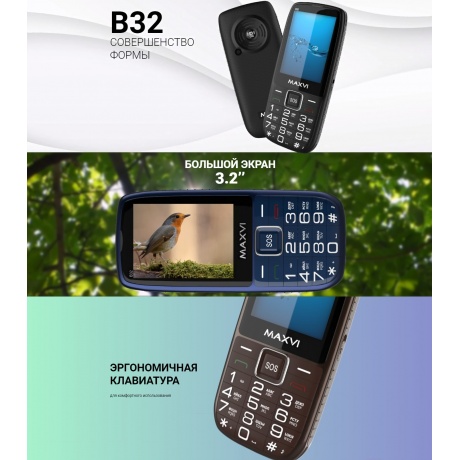 Мобильный телефон Maxvi B32 Red - фото 20